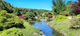 A serene landscape featuring lush gardens and vibrant colors.