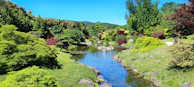 A serene outdoor garden with green foliage and blue skies, symbolizing healing and renewal.