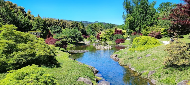 A serene landscape featuring a tranquil garden with blooming flowers and lush greenery, symbolizing well-being and personal growth.