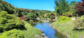 A serene garden landscape with a gently flowing stream surrounded by lush greenery and vibrant foliage. Trees and bushes display a variety of colors, including rich greens and deep reds. The sky is clear and blue, providing a bright and cheerful backdrop.