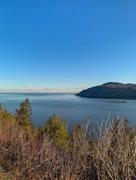 A serene landscape showcasing nature's beauty.