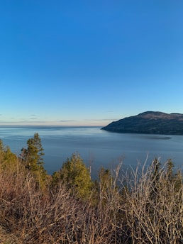 A serene landscape showcasing nature's beauty.