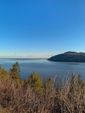 A serene landscape showcasing nature's beauty.