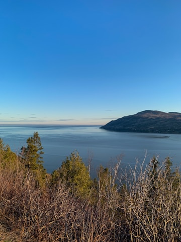 A serene landscape showcasing nature's beauty.