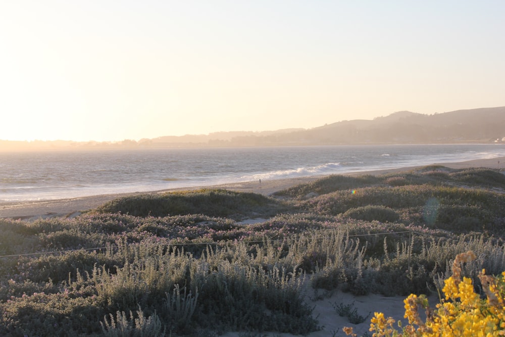 a view of a beach and a body of water