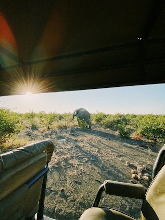 A serene landscape view from a safari vehicle showing an elephant standing amidst sparse vegetation. The sun is shining brightly, casting long shadows and a warm glow over the scene. The interior of the vehicle is partially visible, with seats and parts of the structure framing the view.