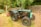 An old green tractor is parked on grassy ground near a stone wall. The tractor has large black tires and a slightly rusted exterior. Behind it, there is a piece of red and yellow agricultural equipment. The background includes lush green trees and bushes, creating a serene rural setting. A couple of blue folding chairs are visible to the left of the tractor.