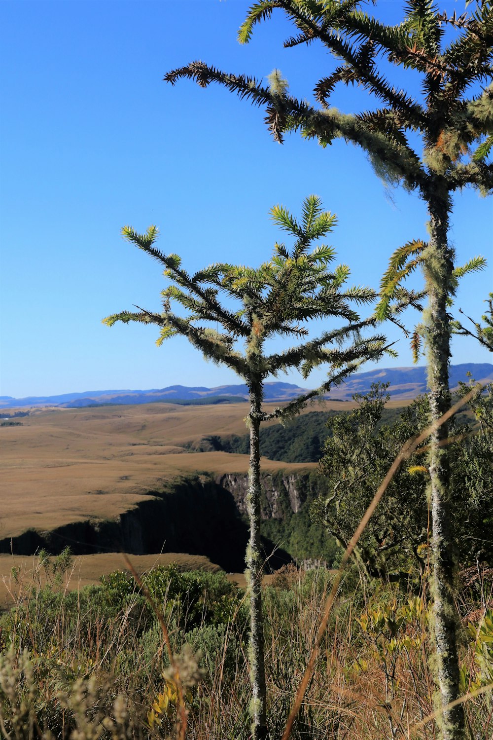 a view of the plains from a distance