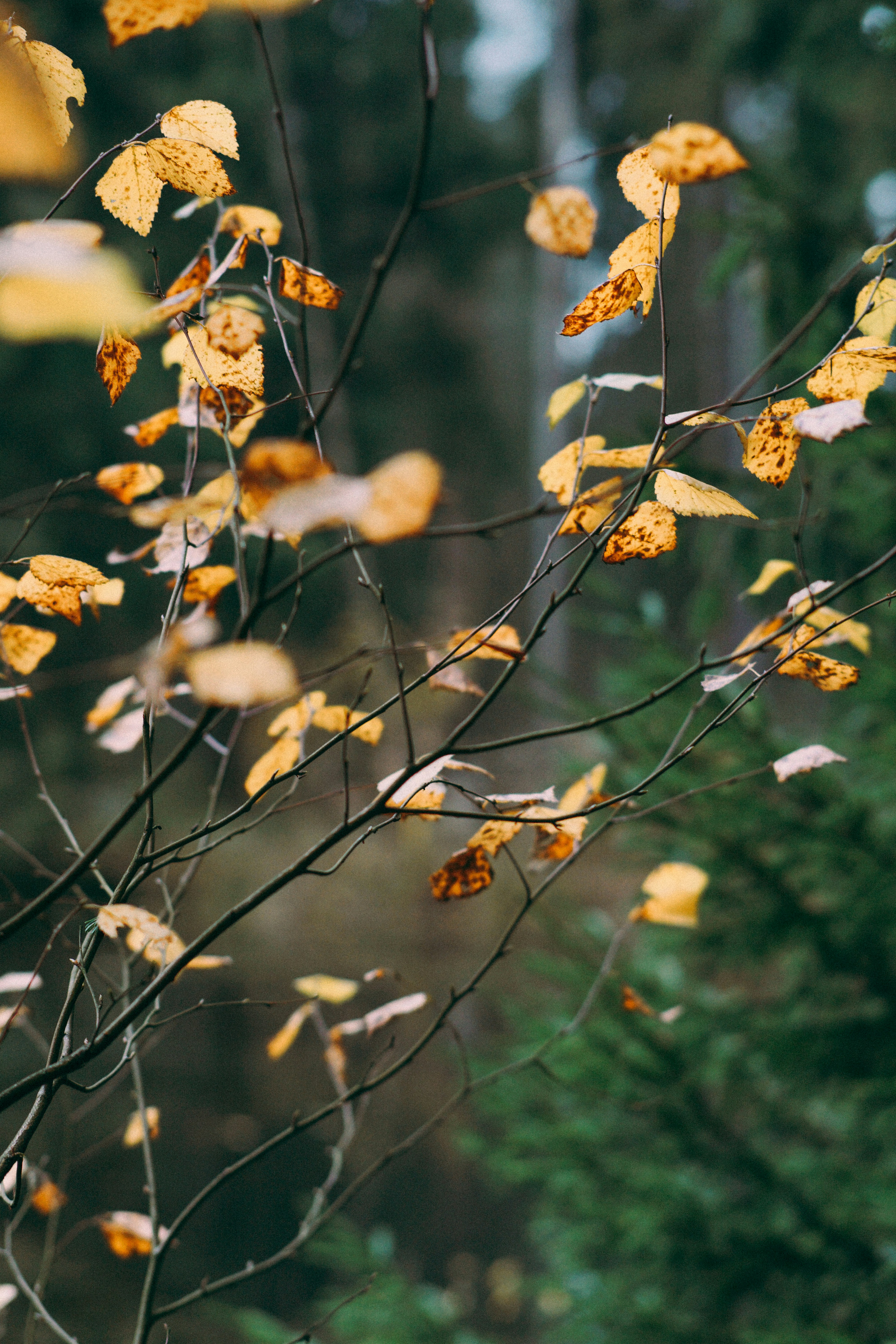 Photo by dashakrotiphoto