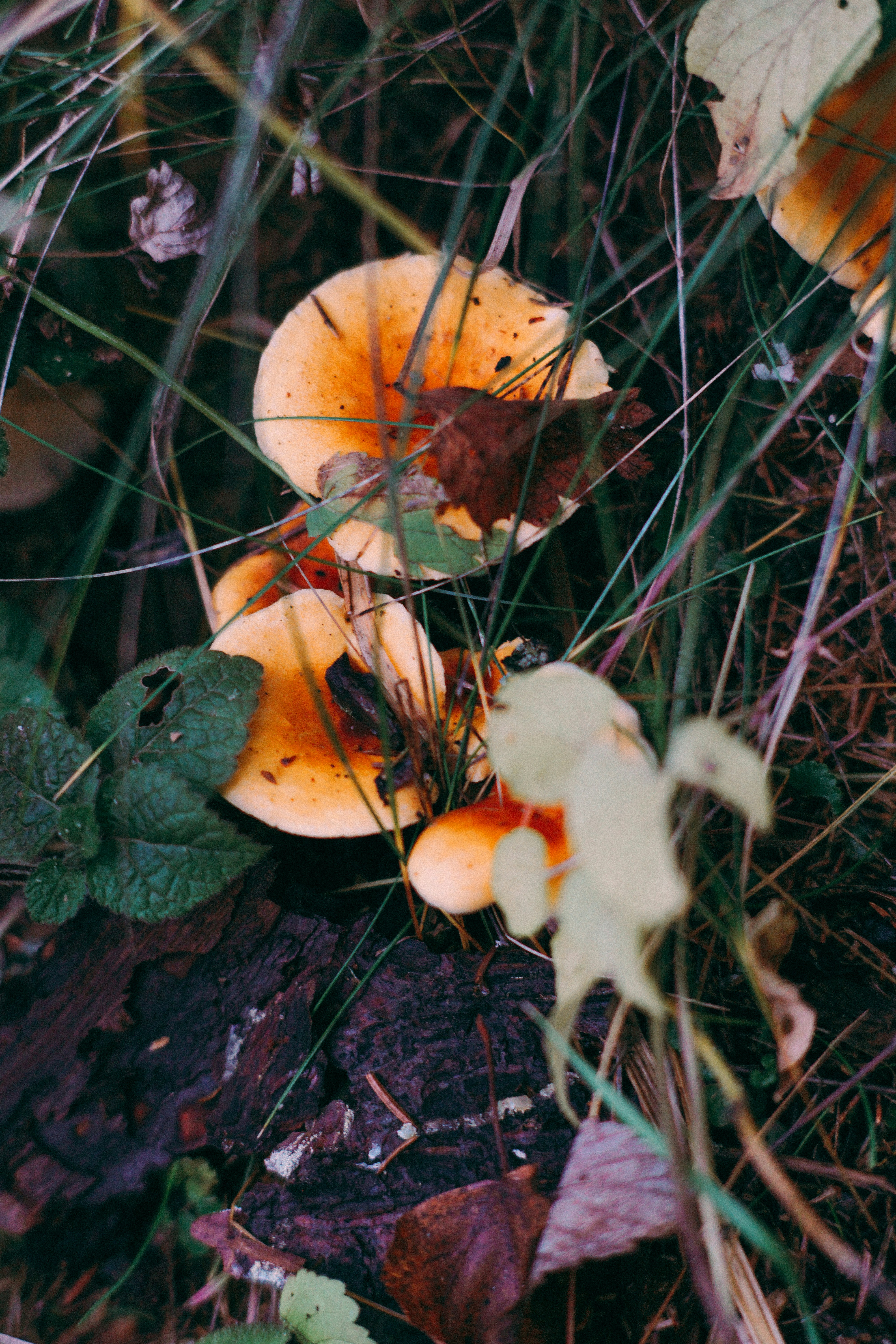 Photo by dashakrotiphoto