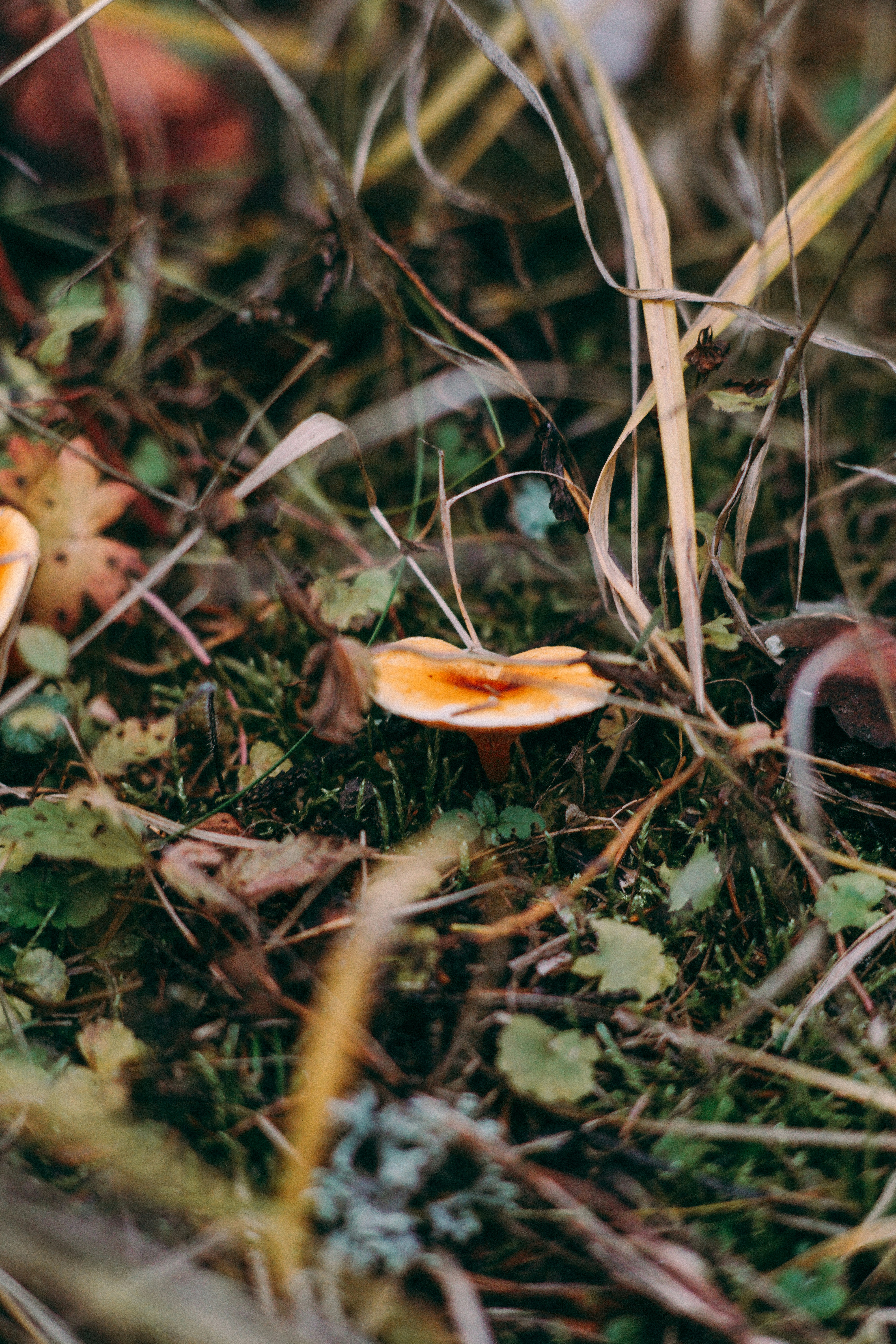 Photo by dashakrotiphoto