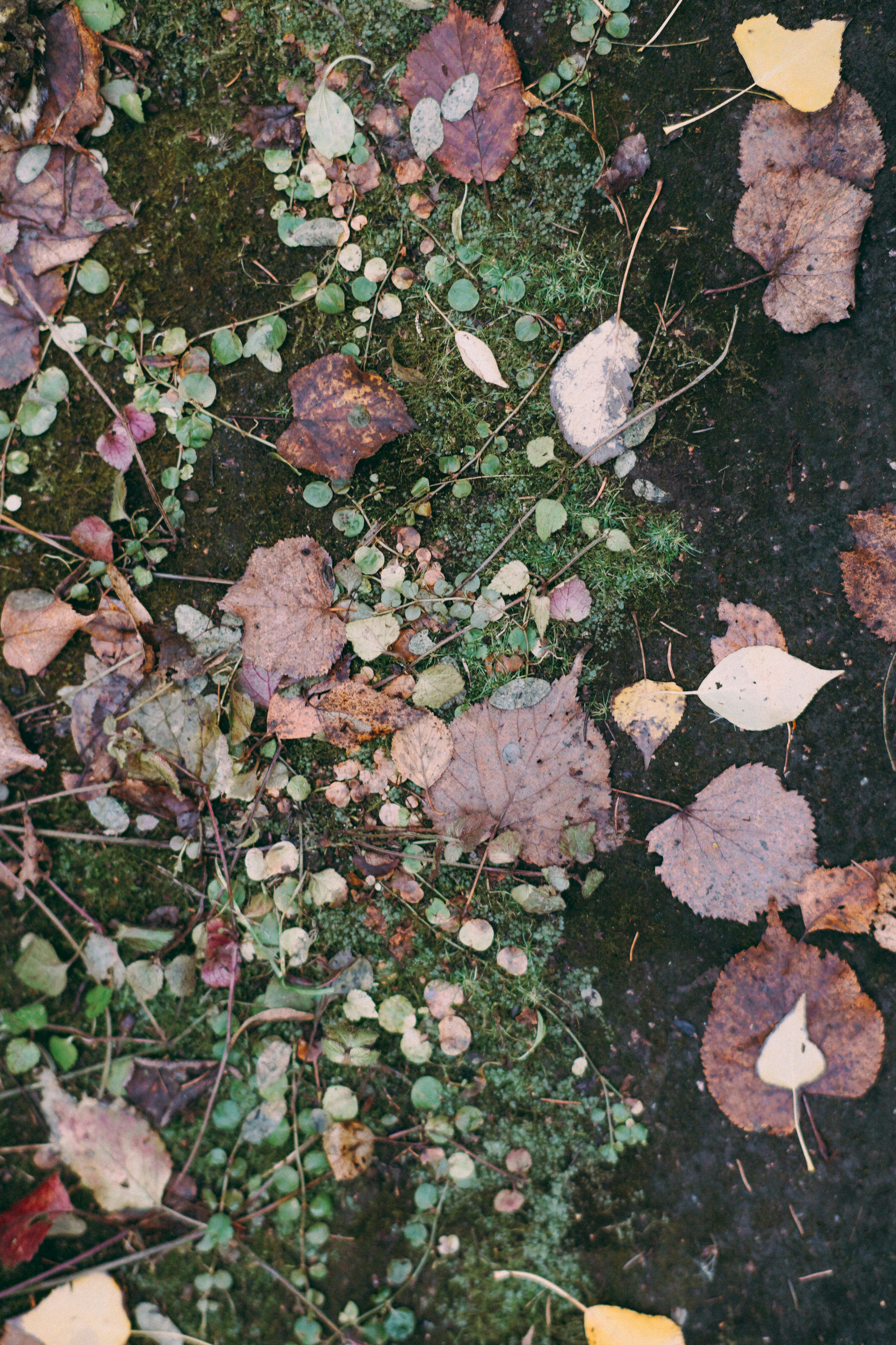 Photo by dashakrotiphoto