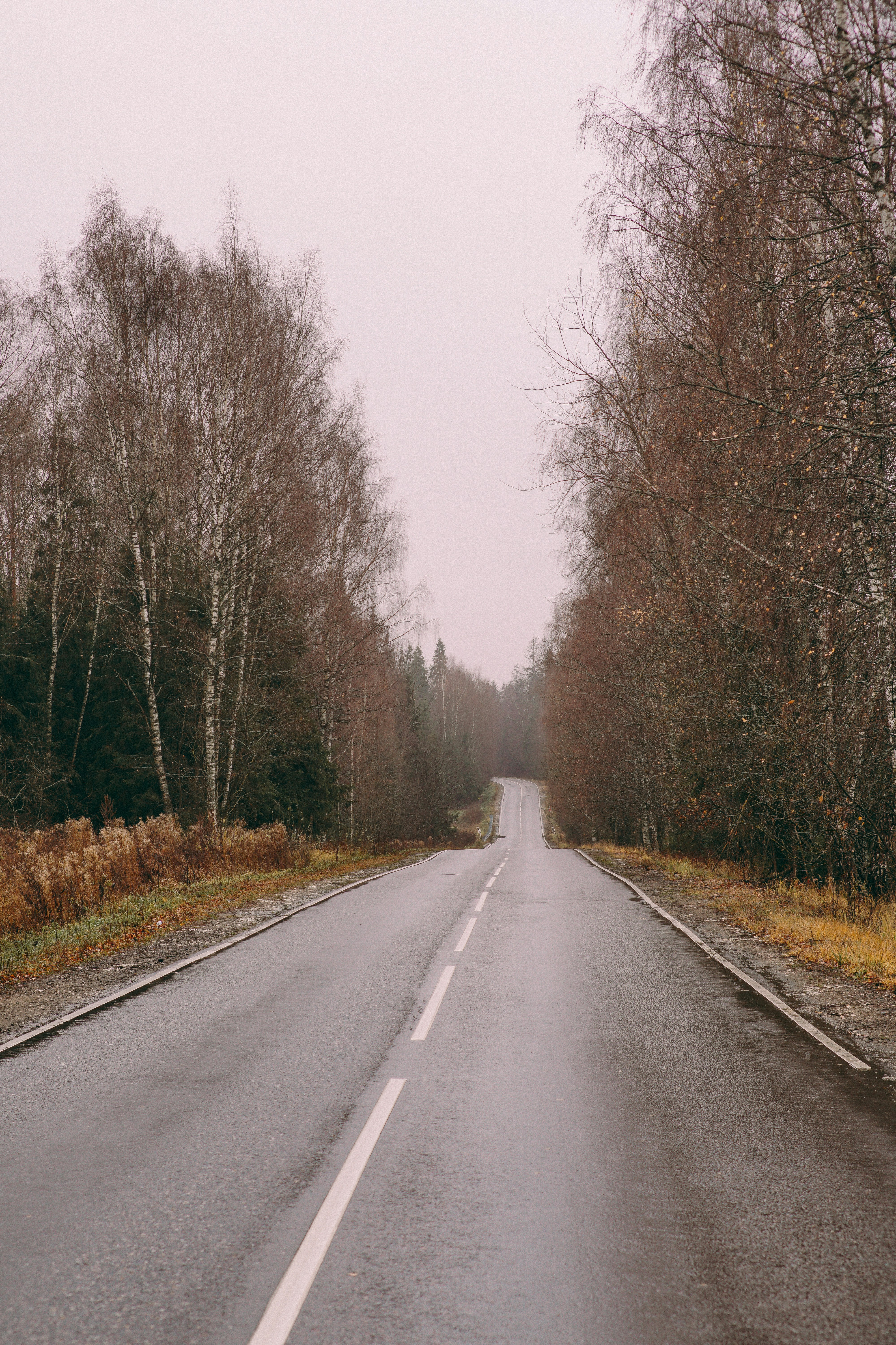 Photo by dashakrotiphoto