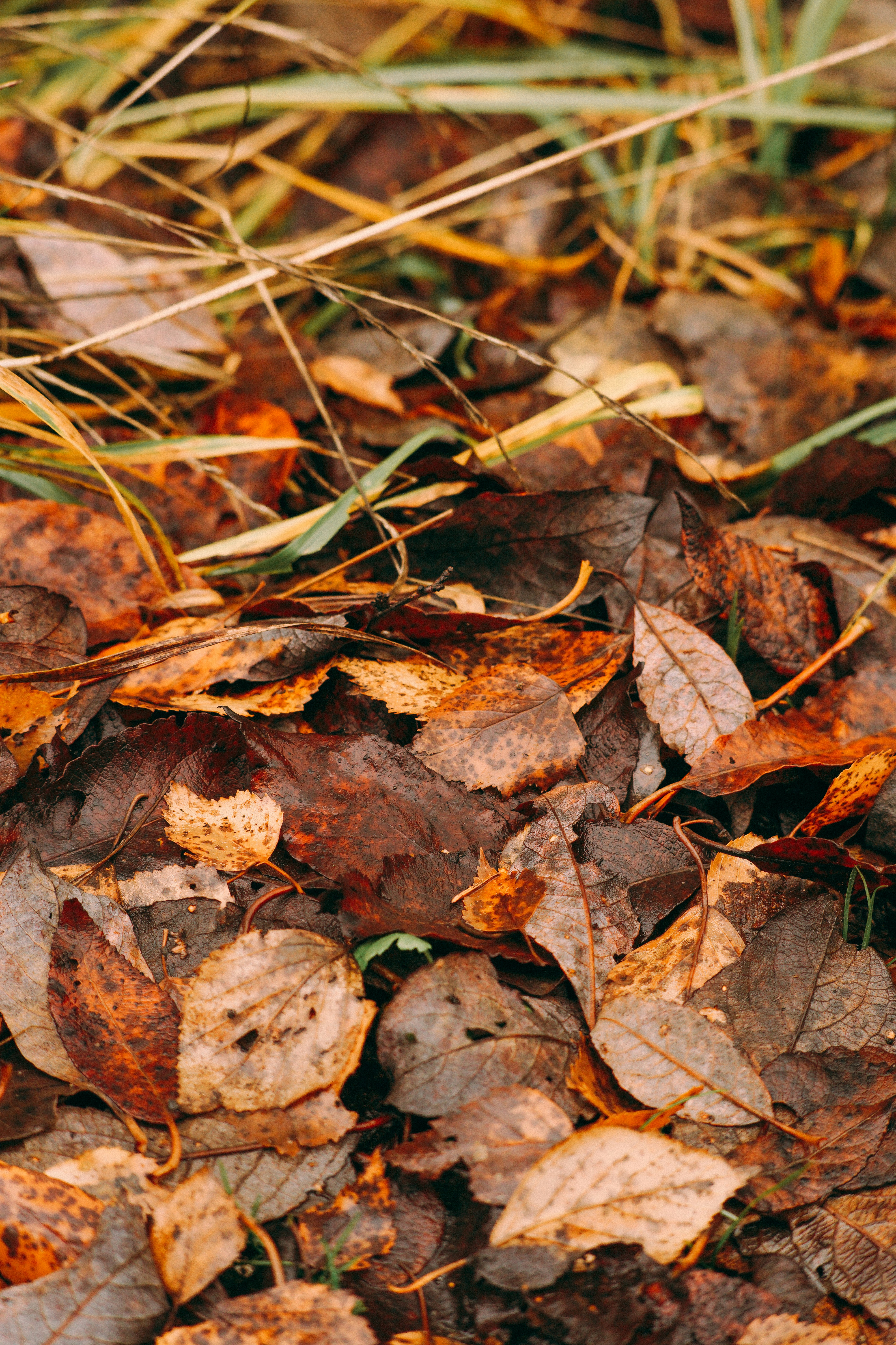 Photo by dashakrotiphoto