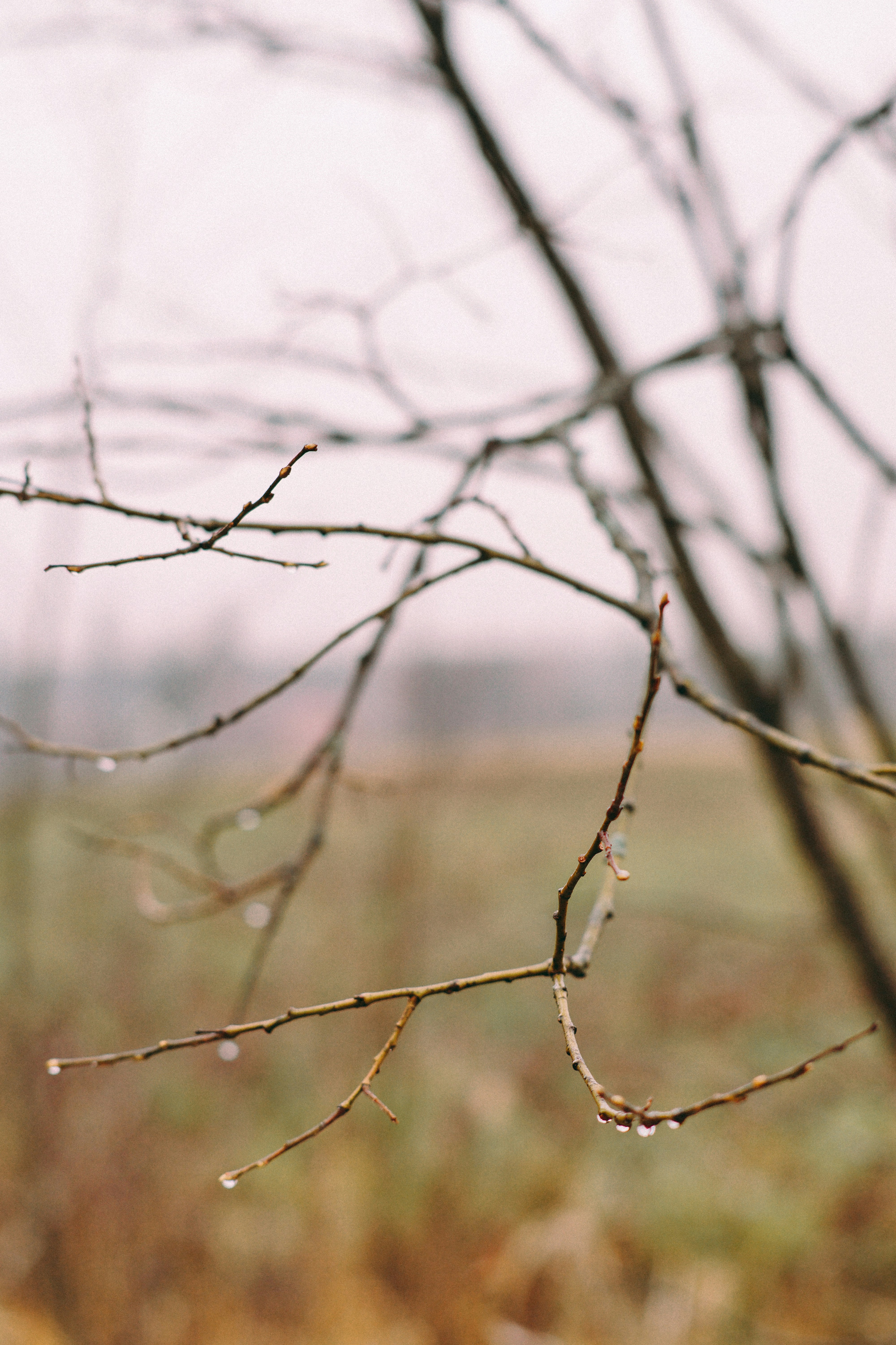 Photo by dashakrotiphoto