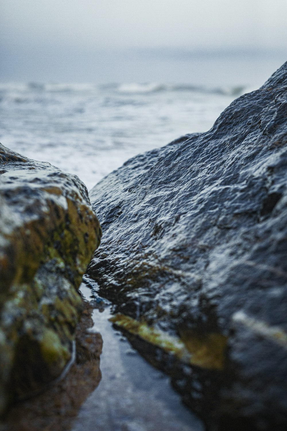 a close up of a rock with water coming out of it