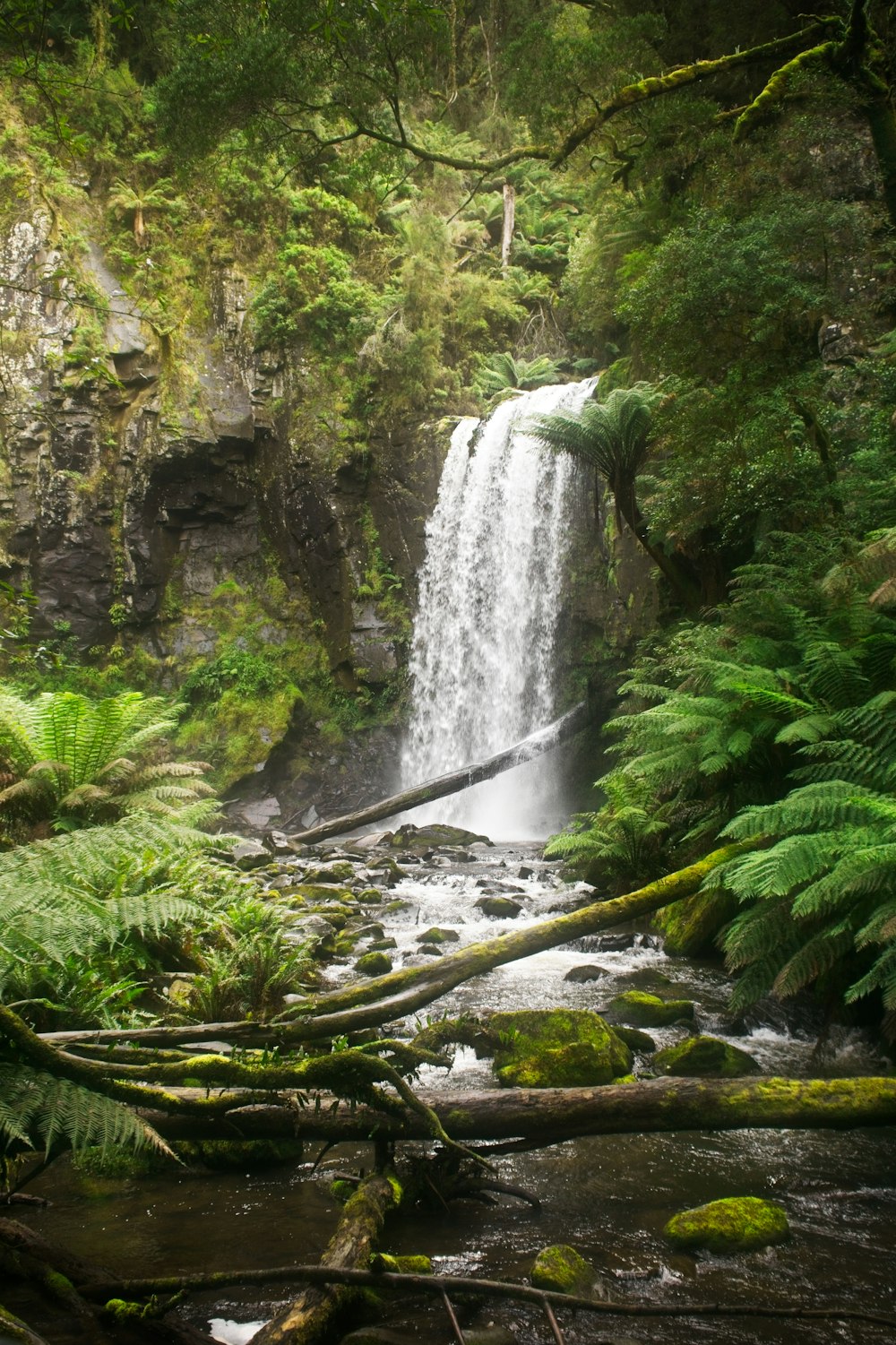 ein kleiner Wasserfall mitten im Wald