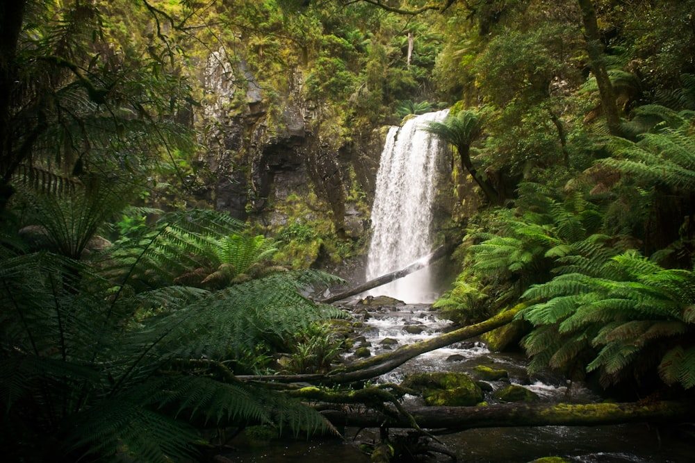 a small waterfall in the middle of a forest