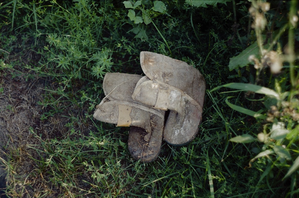 an old worn out glove laying in the grass