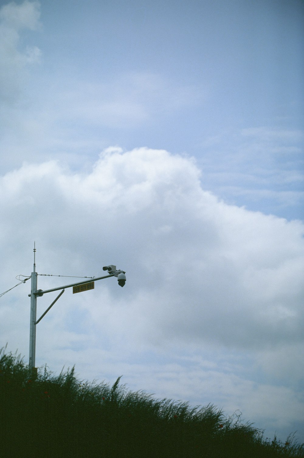 a street light sitting on the side of a lush green field