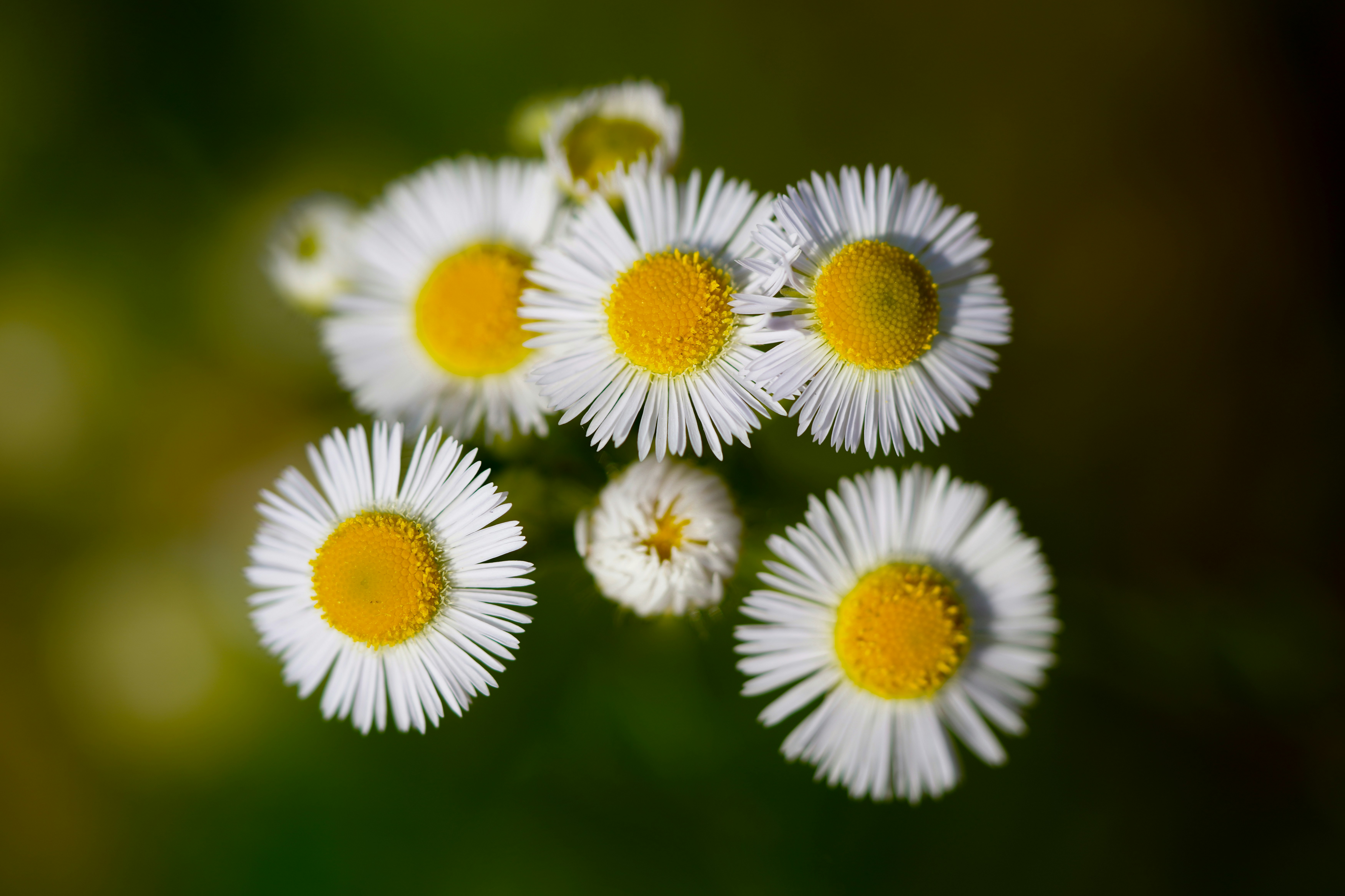 Photo by kim_dae_jeung