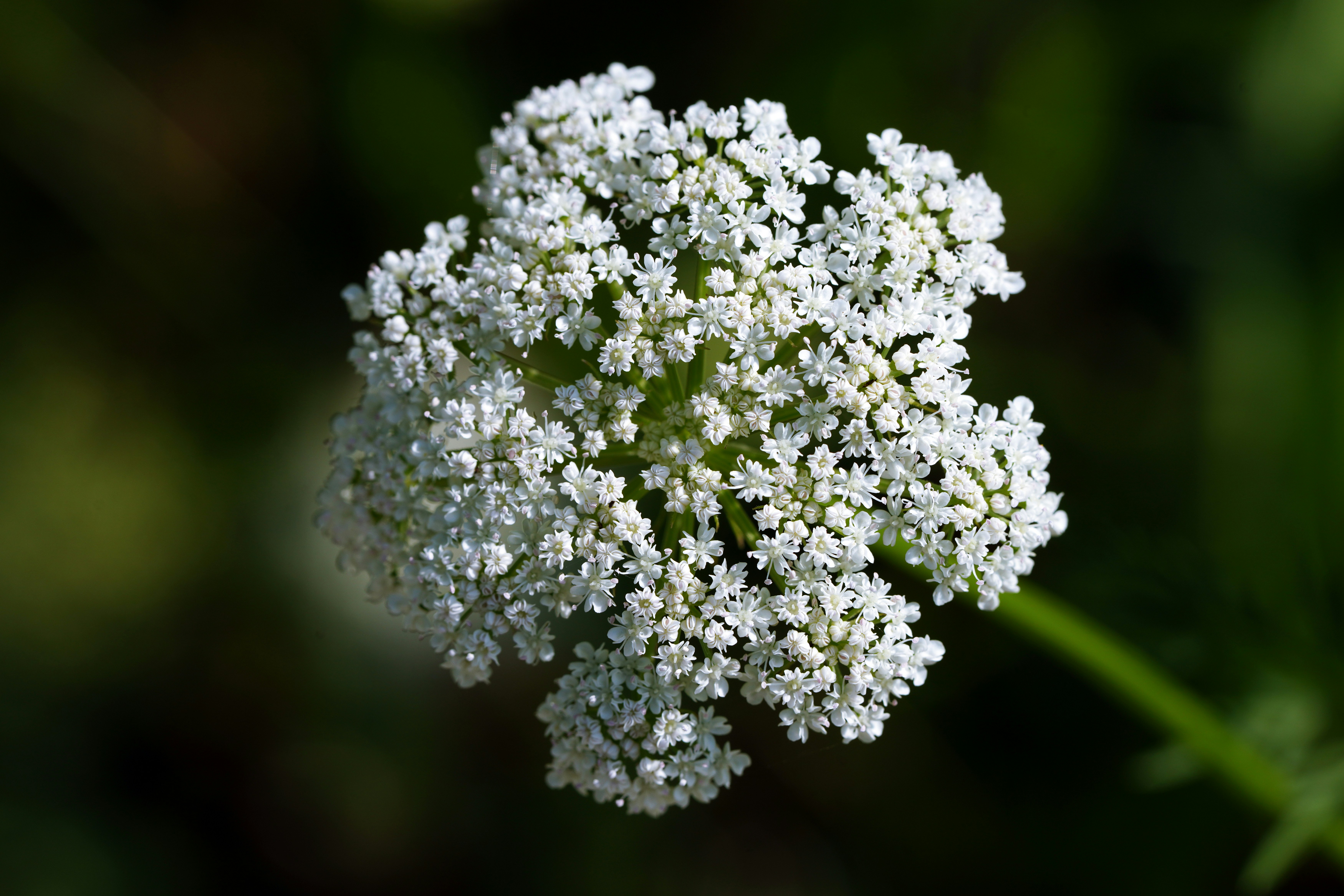 Photo by kim_dae_jeung