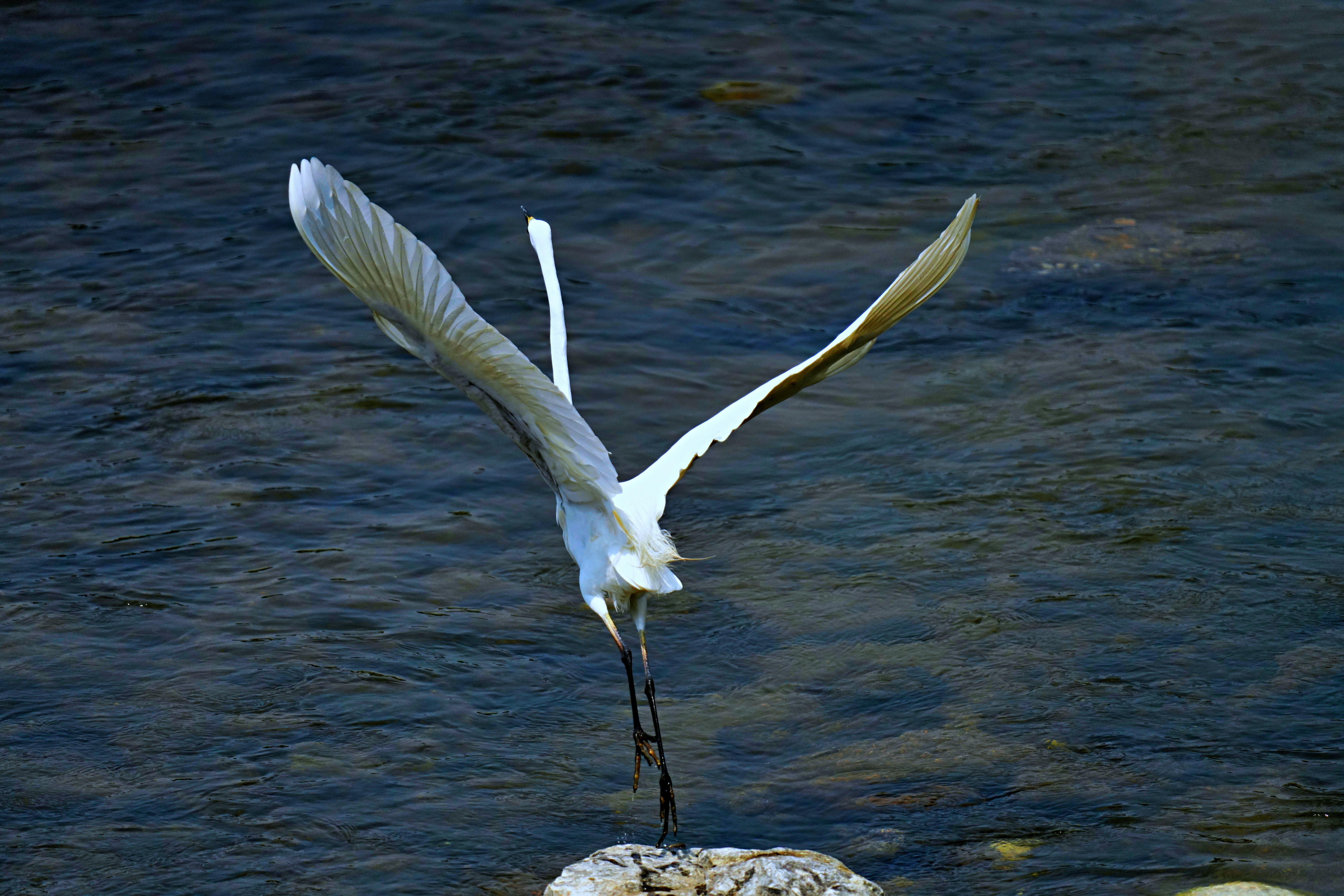 Photo by kim_dae_jeung