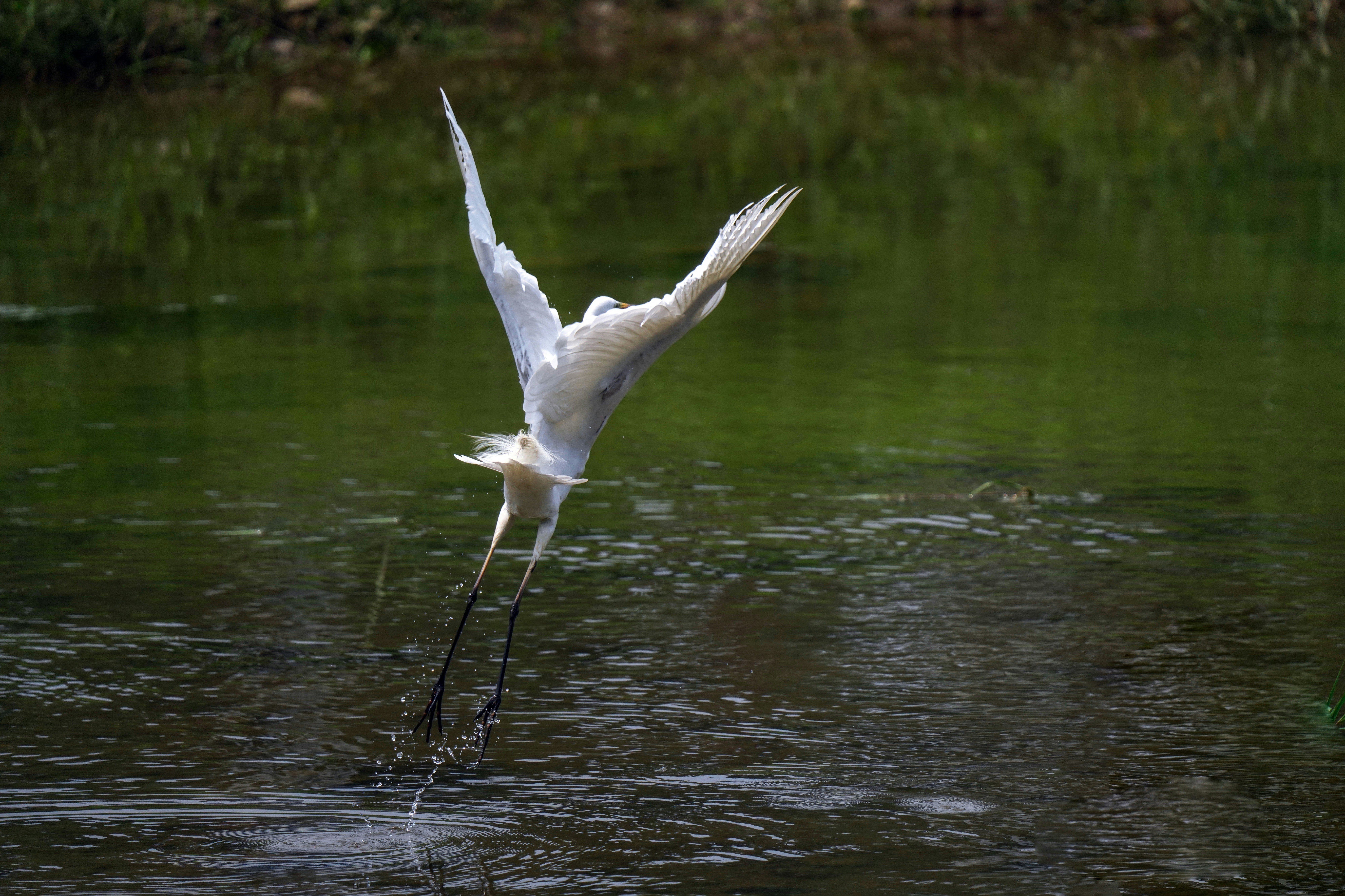 Photo by kim_dae_jeung