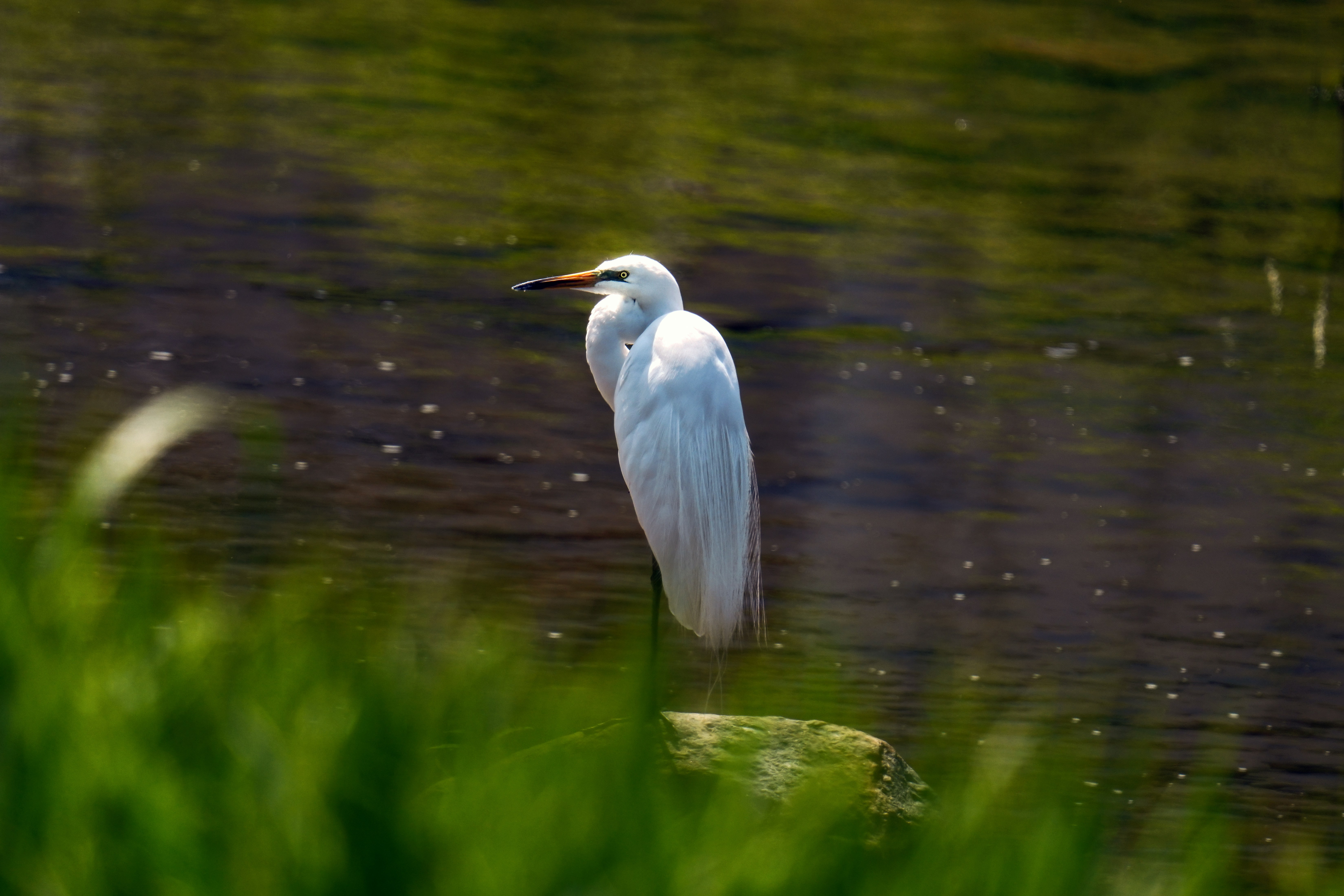 Photo by kim_dae_jeung