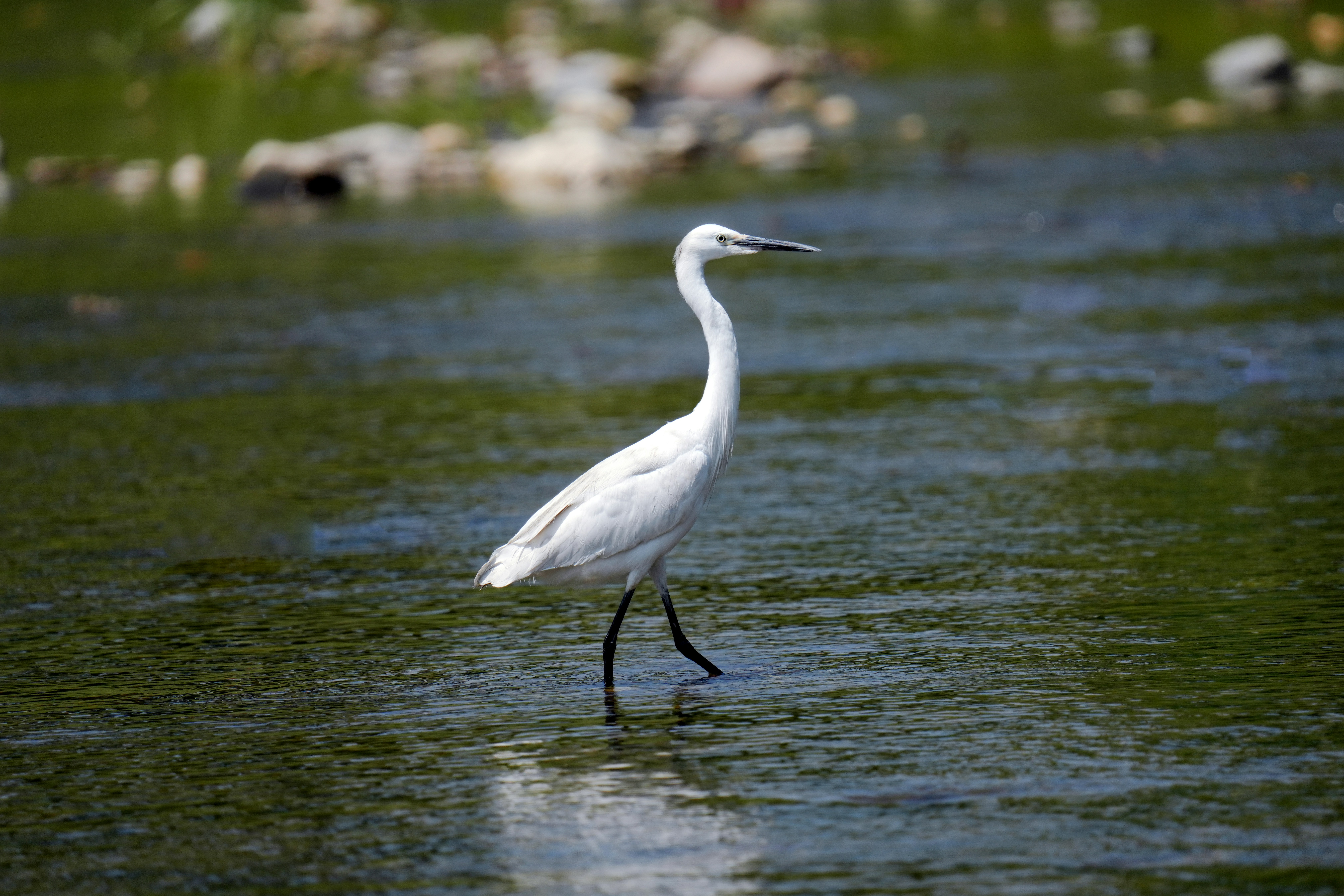 Photo by kim_dae_jeung