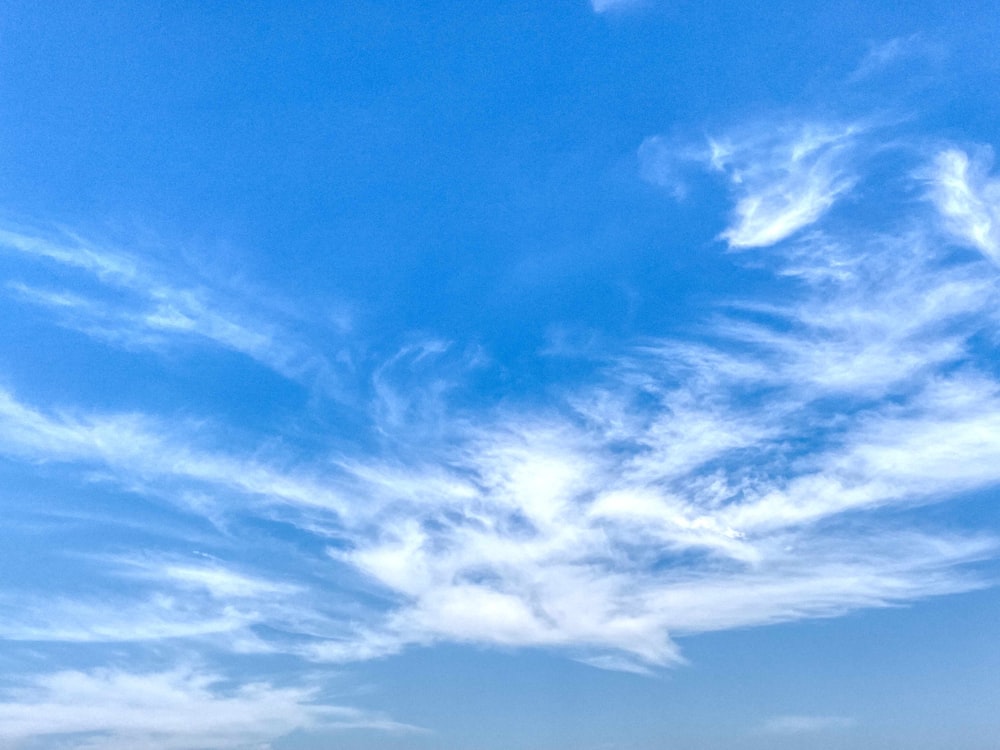 a person on a beach flying a kite