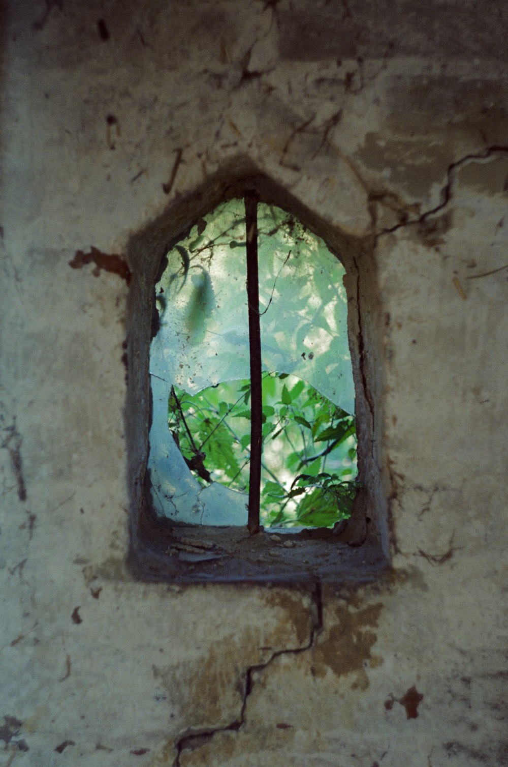 a picture of a tree through a window