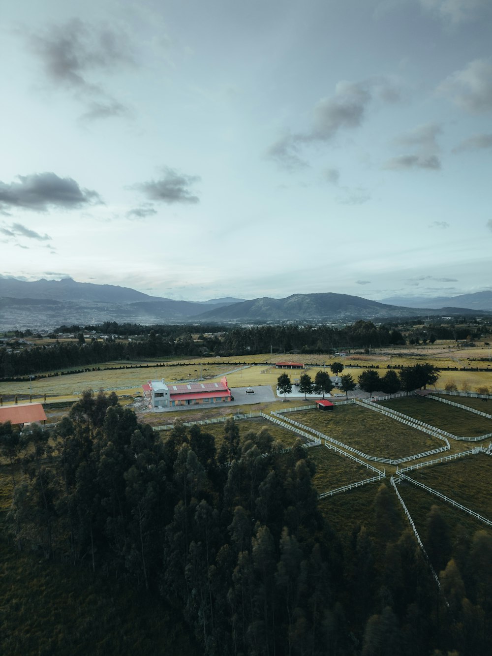 an aerial view of a large field with trees and mountains in the background