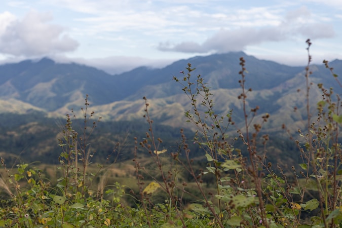 Descubra as Novidades de Mato Grosso