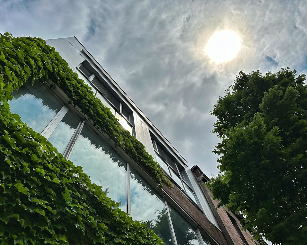 a building that has a bunch of plants growing on it