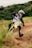 A motorcyclist navigating a dirt track on a motocross bike. The person is wearing full protective gear, including a helmet and a black and white jersey. The environment is natural, with grass and greenery in the background along a winding dirt path.