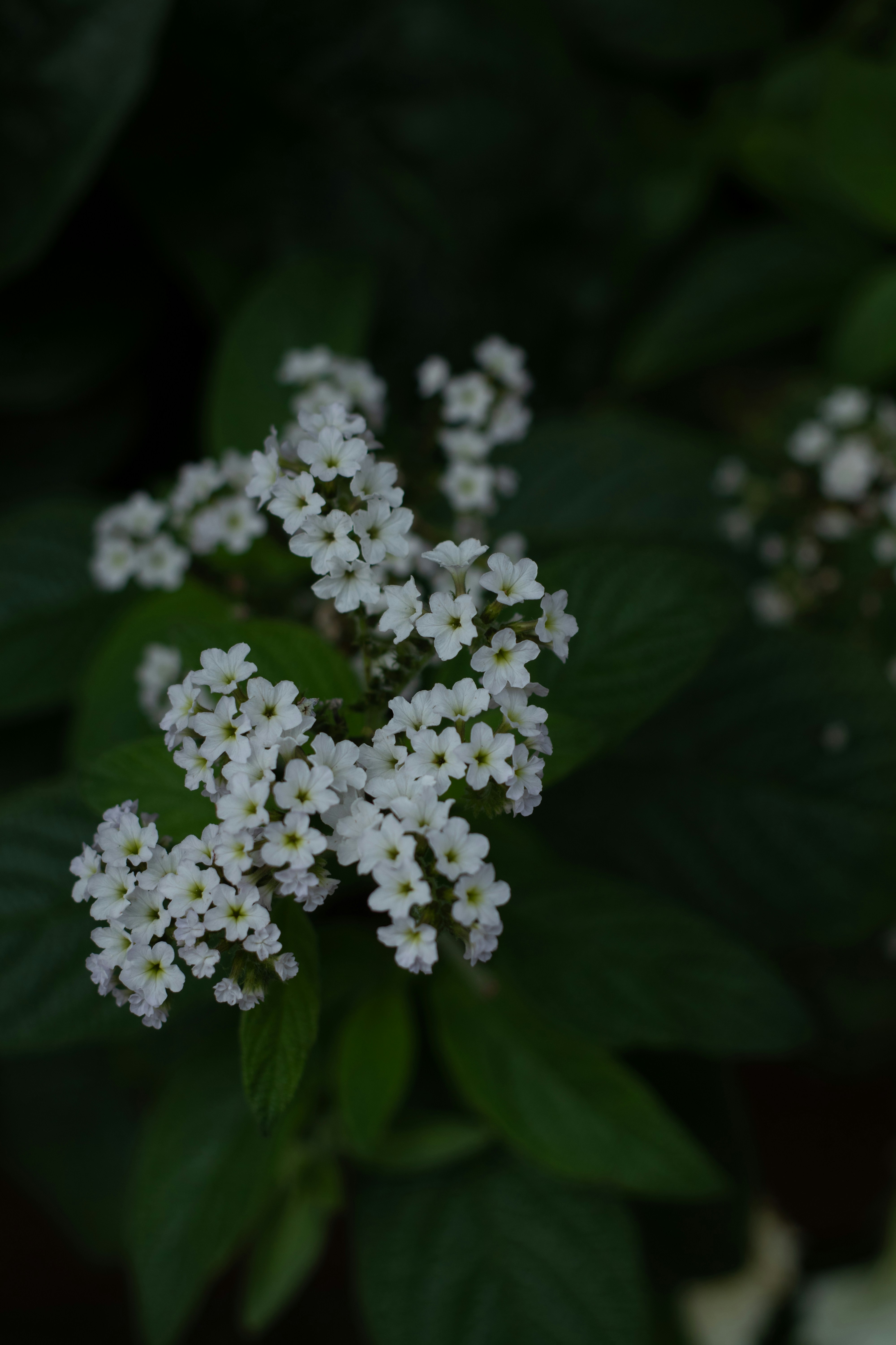 Photo by takatsuchida