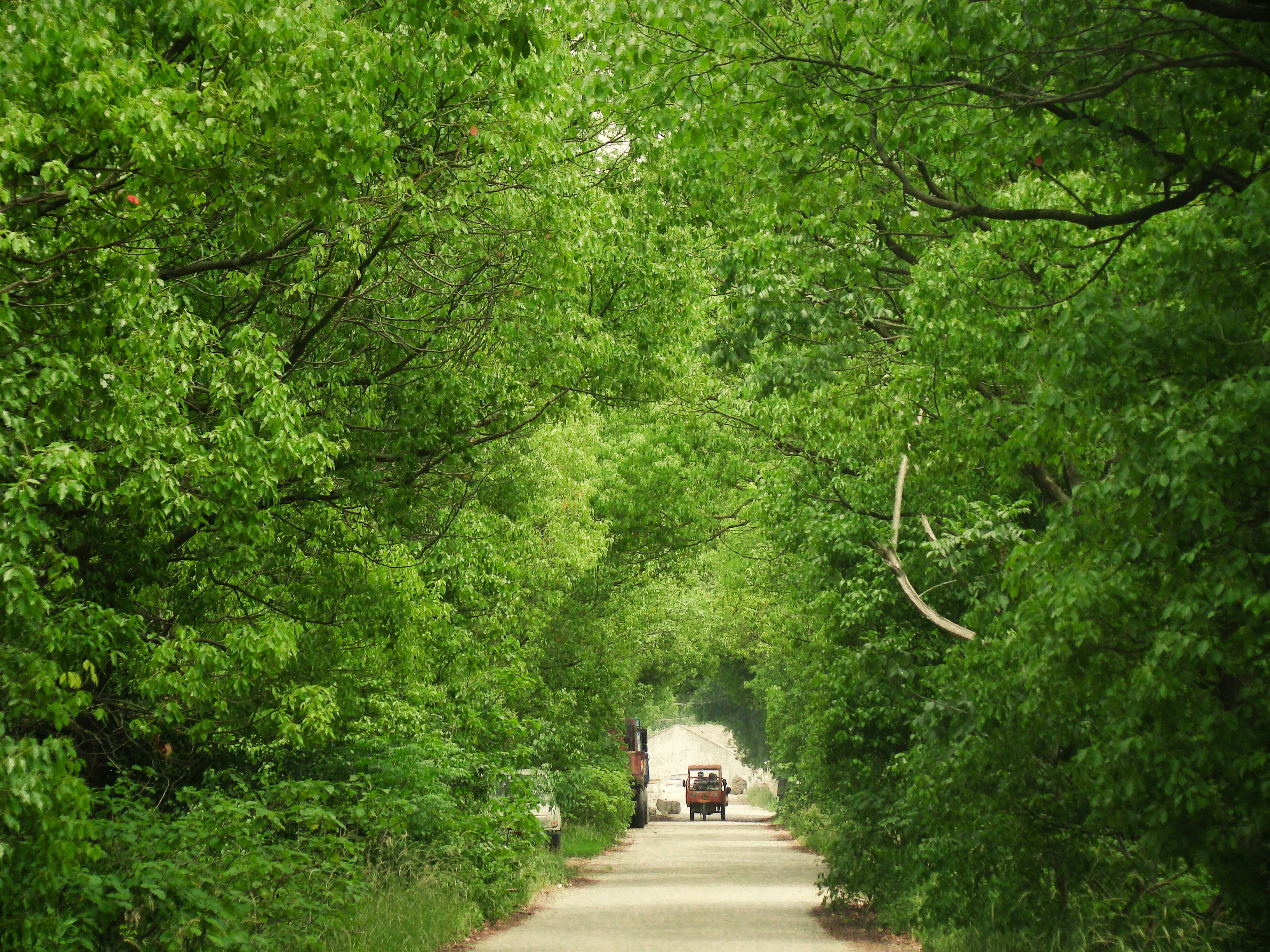 Photo by maro_of_sengu