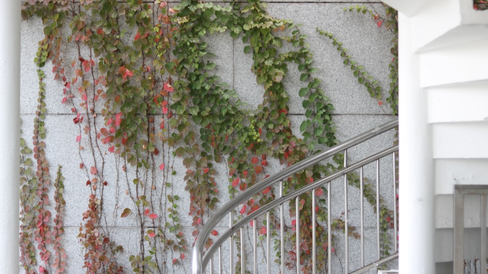 a metal hand rail next to a wall covered in vines