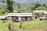 A collection of small cabins with wooden decks is set amidst a lush green landscape. The area is surrounded by a variety of trees and plants, and the ground is covered in vibrant grass. In the background, rolling hills are visible, adding depth to the scenery.