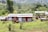A collection of small cabins with wooden decks is set amidst a lush green landscape. The area is surrounded by a variety of trees and plants, and the ground is covered in vibrant grass. In the background, rolling hills are visible, adding depth to the scenery.