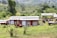 A collection of small cabins with wooden decks is set amidst a lush green landscape. The area is surrounded by a variety of trees and plants, and the ground is covered in vibrant grass. In the background, rolling hills are visible, adding depth to the scenery.