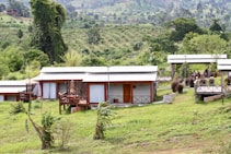 A collection of small cabins with wooden decks is set amidst a lush green landscape. The area is surrounded by a variety of trees and plants, and the ground is covered in vibrant grass. In the background, rolling hills are visible, adding depth to the scenery.