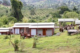 A collection of small cabins with wooden decks is set amidst a lush green landscape. The area is surrounded by a variety of trees and plants, and the ground is covered in vibrant grass. In the background, rolling hills are visible, adding depth to the scenery.