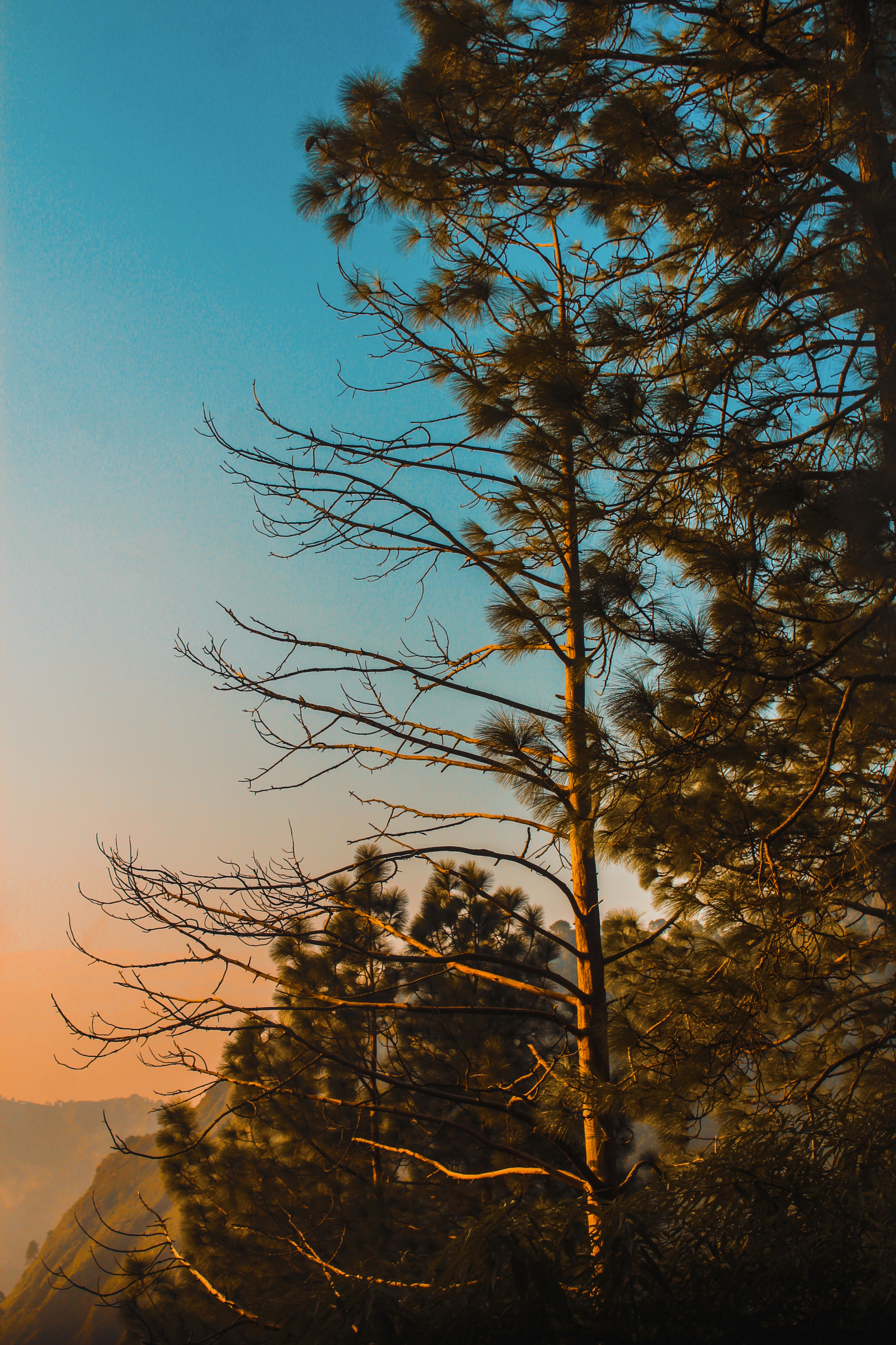 Photo by nitinvermaphotography