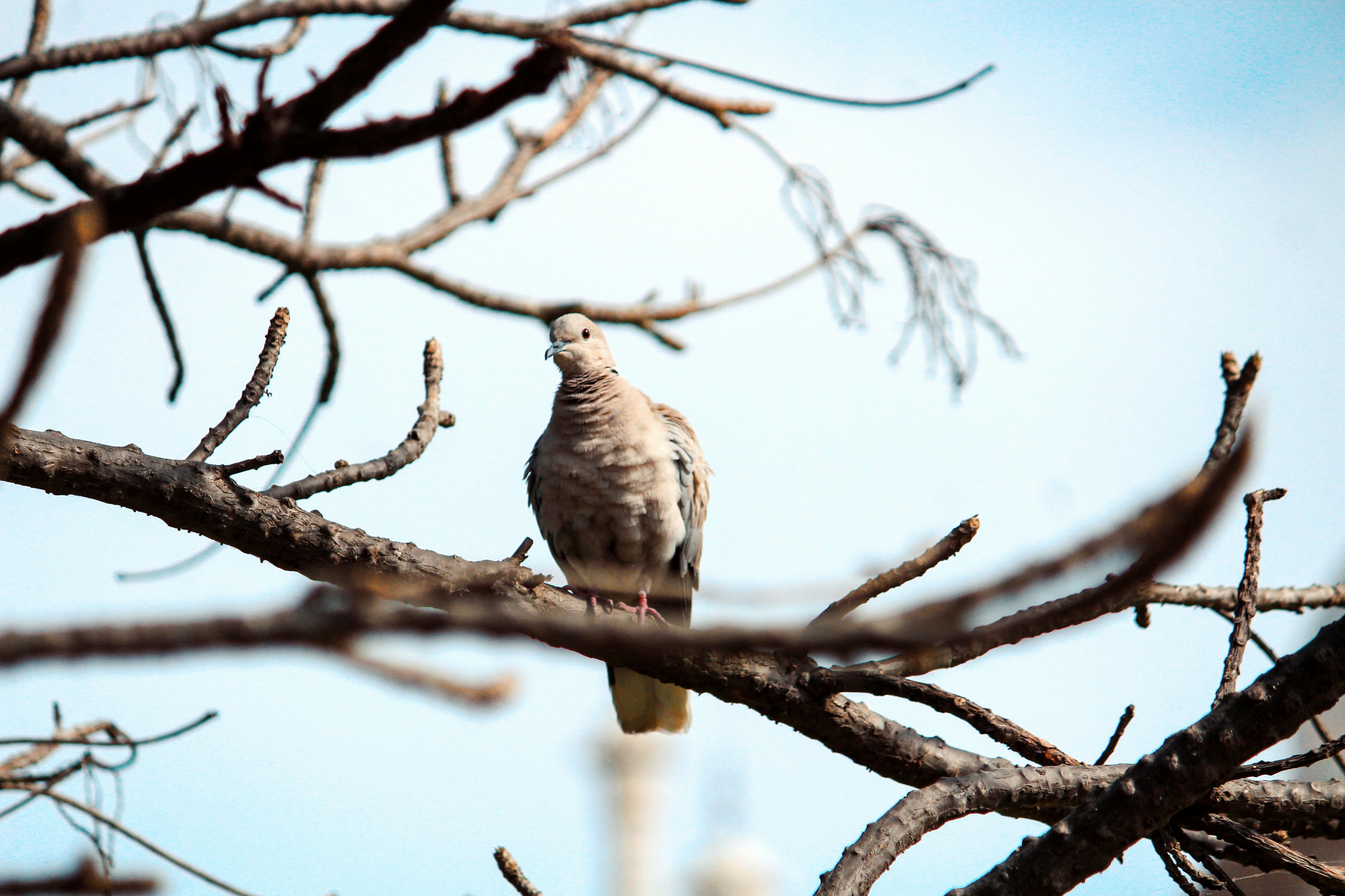 Photo by nitinvermaphotography