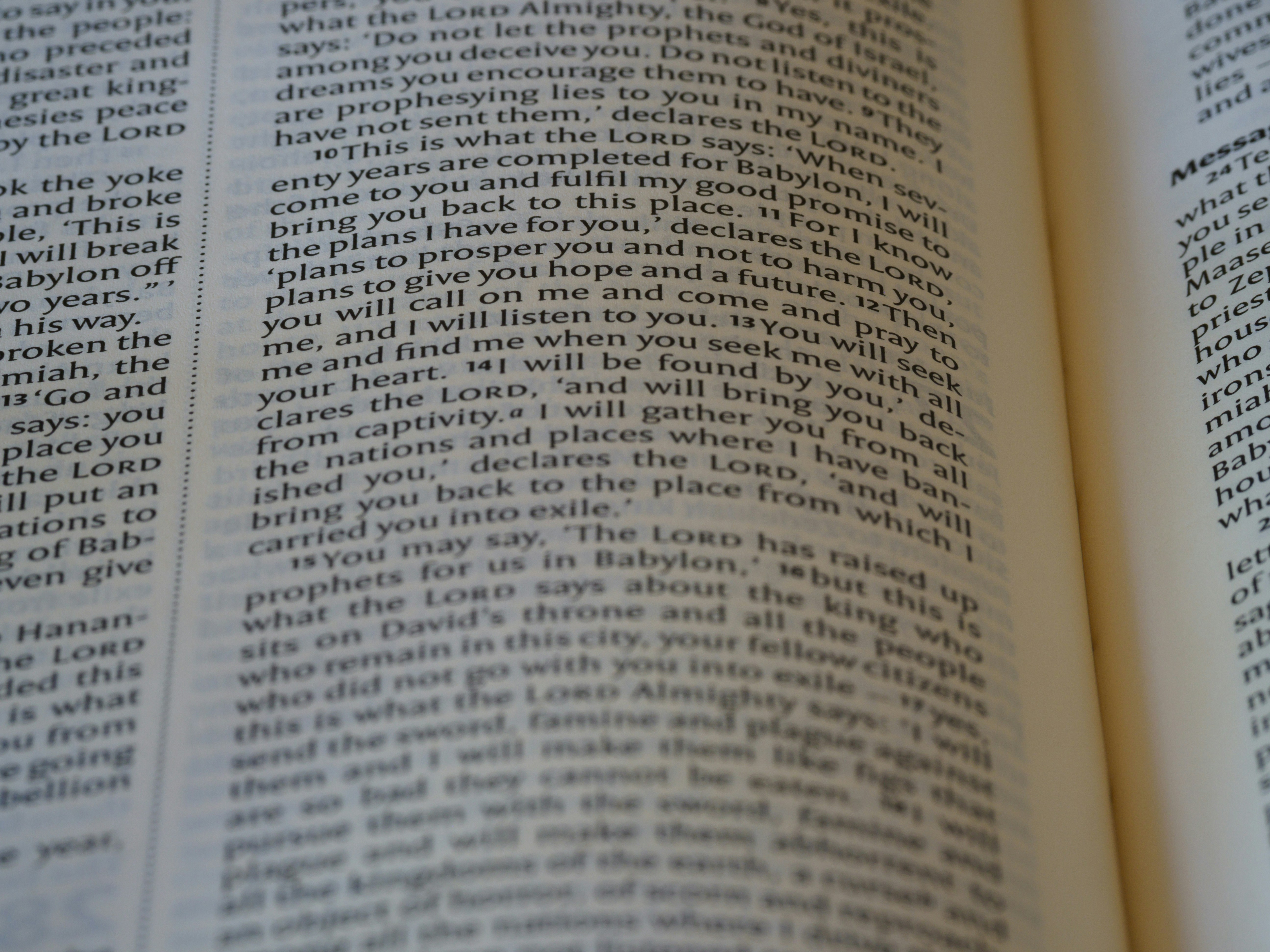 Photo by brett_jordan