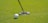 Close-up of a golf gadget from Stitch & Par in use on the green.