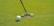 Close-up of a golf gadget from Stitch & Par in use on the green.