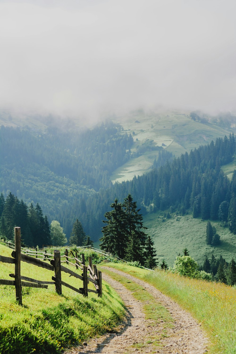 a dirt road going through a lush green valley